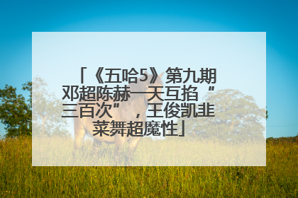 《五哈5》第九期邓超陈赫一天互掐“三百次”，王俊凯韭菜舞超魔性