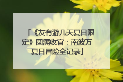 《友有游几天夏日限定》圆满收官：南波万夏日冒险全记录