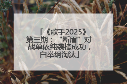 《歌手2025》第三期：“断眉”对战单依纯袭榜成功，白举纲淘汰