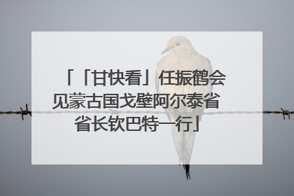 「甘快看」任振鹤会见蒙古国戈壁阿尔泰省省长钦巴特一行
