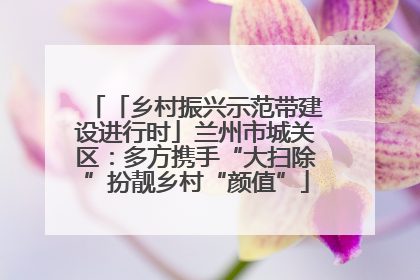 「乡村振兴示范带建设进行时」兰州市城关区：多方携手“大扫除”扮靓乡村“颜值”