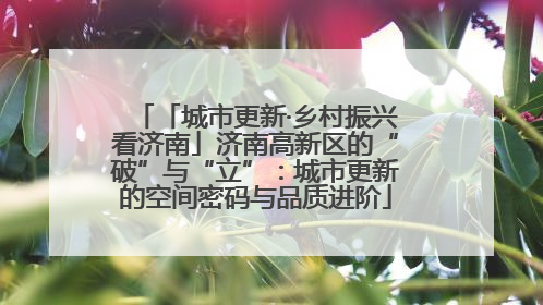 「城市更新·乡村振兴看济南」济南高新区的“破”与“立”：城市更新的空间密码与品质进阶