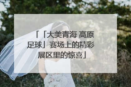 「大美青海 高原足球」赛场上的精彩 展区里的惊喜