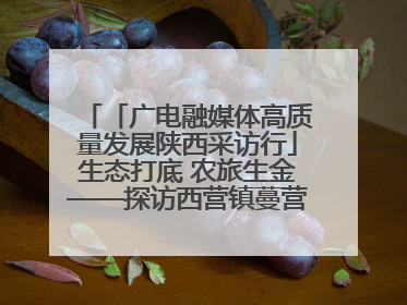 「广电融媒体高质量发展陕西采访行」生态打底 农旅生金——探访西营镇蔓营村省级旅游示范村的振兴密码