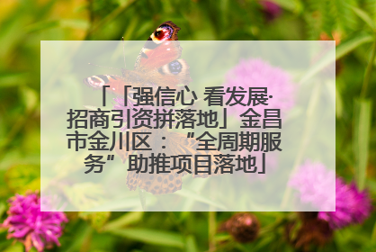 「强信心 看发展·招商引资拼落地」金昌市金川区：“全周期服务”助推项目落地