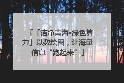 「洁净青海•绿色算力」以数绘图，让海量信息“跑起来”