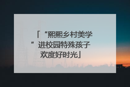 “熙熙乡村美学”进校园特殊孩子欢度好时光