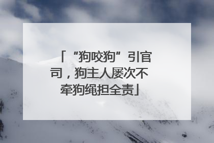 “狗咬狗”引官司，狗主人屡次不牵狗绳担全责