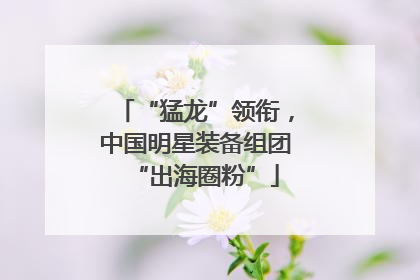 “猛龙”领衔，中国明星装备组团“出海圈粉”
