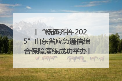 “畅通齐鲁·2025”山东省应急通信综合保障演练成功举办