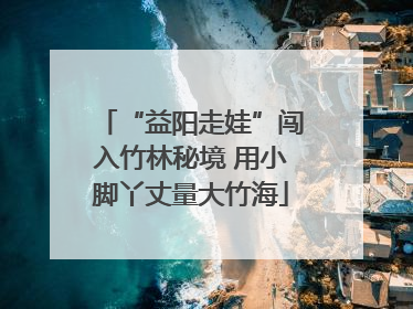 “益阳走娃”闯入竹林秘境 用小脚丫丈量大竹海