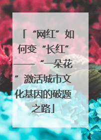 “网红”如何变“长红”——“一朵花”激活城市文化基因的破题之路