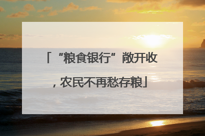 “粮食银行”敞开收，农民不再愁存粮