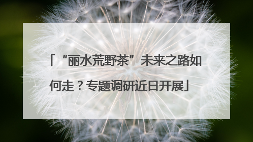 “丽水荒野茶”未来之路如何走？专题调研近日开展