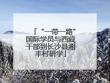 “一带一路”国际学员与西藏干部到长沙县湘丰村研学