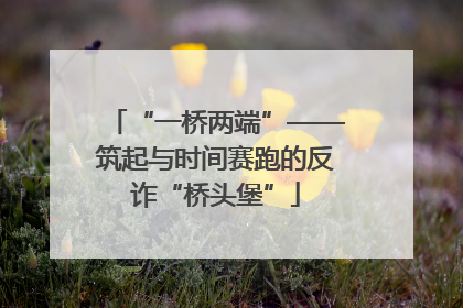 “一桥两端”——筑起与时间赛跑的反诈“桥头堡”