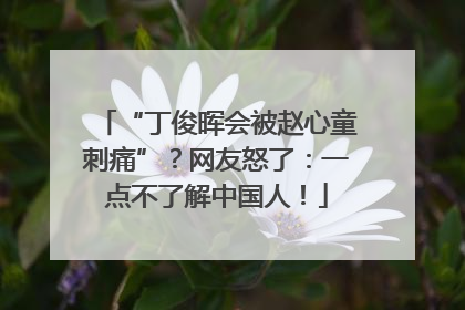 “丁俊晖会被赵心童刺痛”？网友怒了：一点不了解中国人！