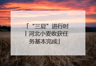 “三夏”进行时丨河北小麦收获任务基本完成