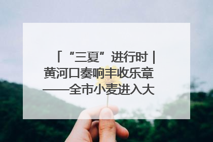 “三夏”进行时｜黄河口奏响丰收乐章——全市小麦进入大面积收获高峰期