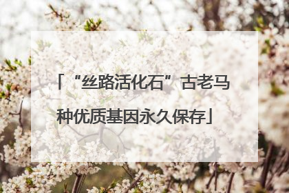 “丝路活化石”古老马种优质基因永久保存