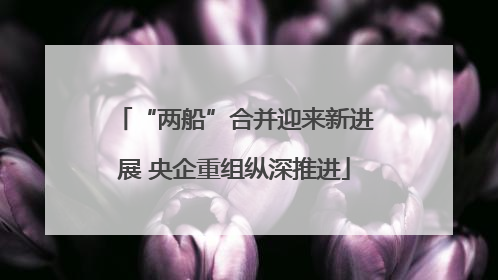 “两船”合并迎来新进展 央企重组纵深推进