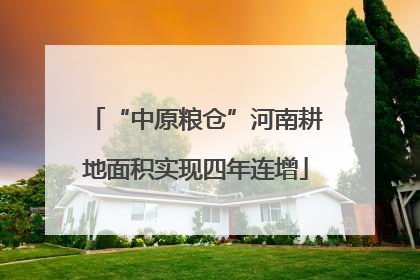 “中原粮仓”河南耕地面积实现四年连增