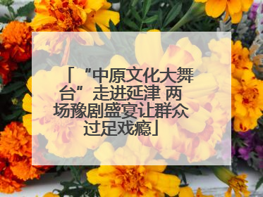 “中原文化大舞台”走进延津 两场豫剧盛宴让群众过足戏瘾