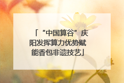 “中国算谷”庆阳发挥算力优势赋能香包非遗技艺