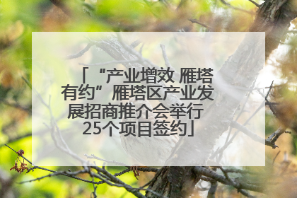 “产业增效 雁塔有约”雁塔区产业发展招商推介会举行 25个项目签约