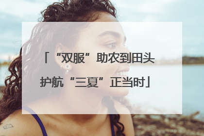 “双服”助农到田头 护航“三夏”正当时