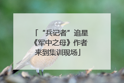 “兵记者”追星《军中之母》作者来到集训现场