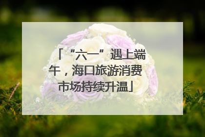 “六一”遇上端午，海口旅游消费市场持续升温
