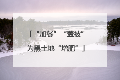 “加餐”“盖被” 为黑土地“增肥”