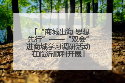 “商城出海 思想先行”——“双会”进商城学习调研活动在临沂顺利开展