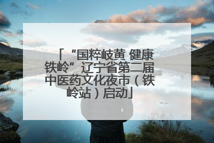 “国粹岐黄 健康铁岭”辽宁省第二届中医药文化夜市（铁岭站）启动