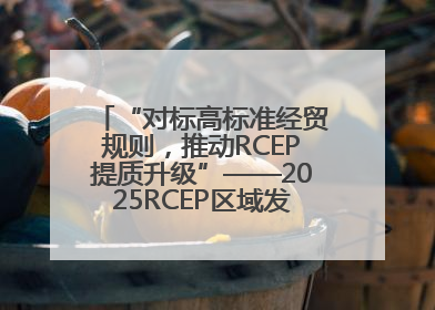 “对标高标准经贸规则，推动RCEP提质升级”——2025RCEP区域发展媒体智库论坛举行专题对话