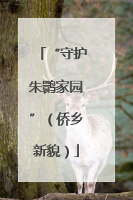 “守护朱鹮家园”（侨乡新貌）