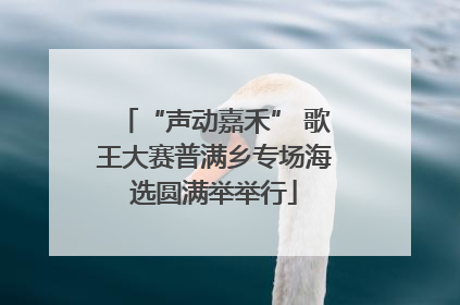 “声动嘉禾” 歌王大赛普满乡专场海选圆满举举行
