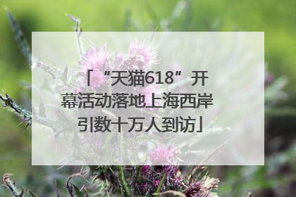 “天猫618”开幕活动落地上海西岸 引数十万人到访