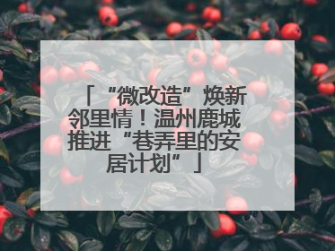 “微改造”焕新邻里情！温州鹿城推进“巷弄里的安居计划”