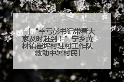 “幸亏彭书记带着大家及时赶到！”宁乡黄材镇崔坪村驻村工作队救助中暑村民
