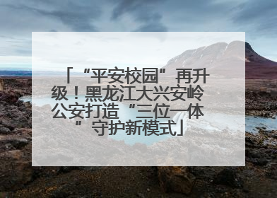 “平安校园”再升级！黑龙江大兴安岭公安打造“三位一体”守护新模式