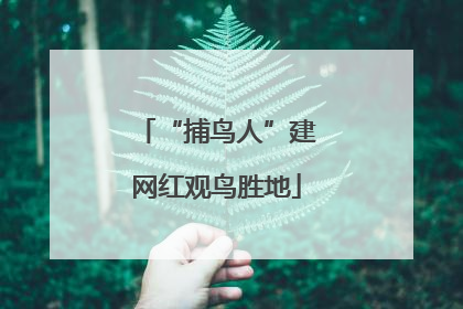 “捕鸟人”建网红观鸟胜地