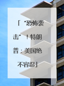 “恐怖袭击”！特朗普：美国绝不容忍