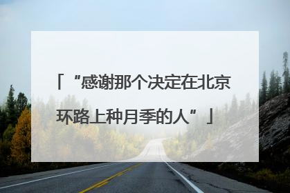 “感谢那个决定在北京环路上种月季的人”