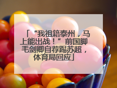 “我祖籍泰州，马上能出战！”前国脚毛剑卿自荐踢苏超，体育局回应