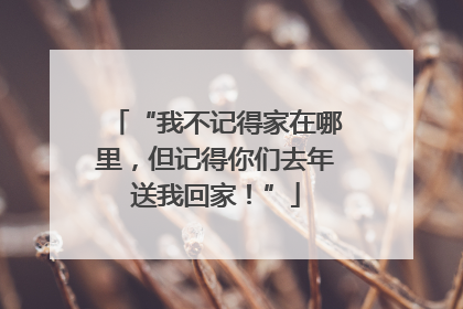 “我不记得家在哪里，但记得你们去年送我回家！”