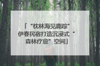 “枕林海见鹿踪” 伊春民宿打造沉浸式“森林疗愈”空间
