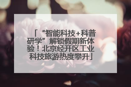 “智能科技+科普研学”解锁假期新体验！北京经开区工业科技旅游热度攀升