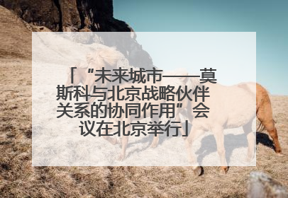 “未来城市——莫斯科与北京战略伙伴关系的协同作用”会议在北京举行
